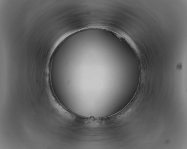 X0000091920955200709261639