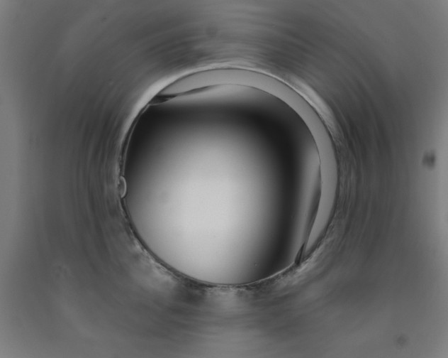 X0000091920956200709261639