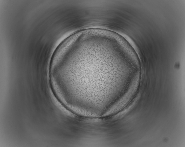 X0000091920957200709261639