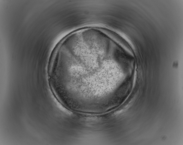 X0000091920959200709261639