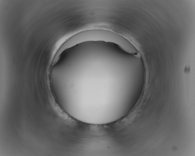 X0000091920960200709261639