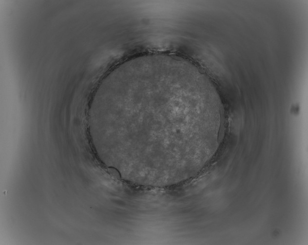 X0000091920961200709261639