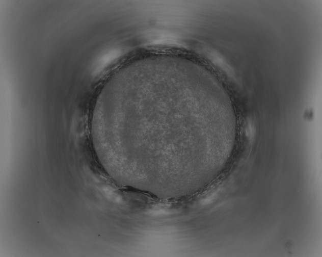 X0000091920965200709261639