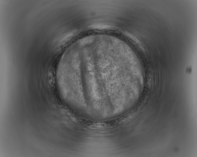 X0000091920966200709261639