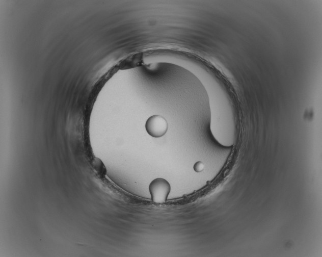 X0000091920969200709261639