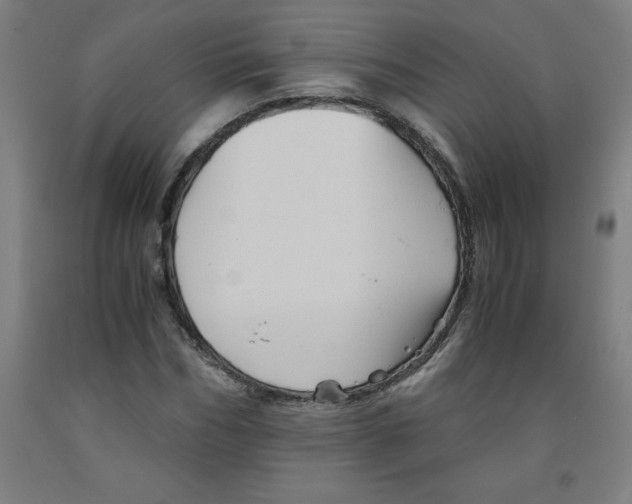 X0000091920970200709261639