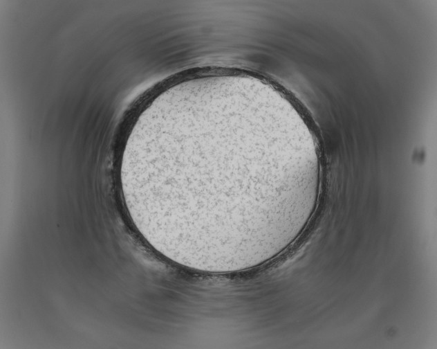 X0000091920971200709261639