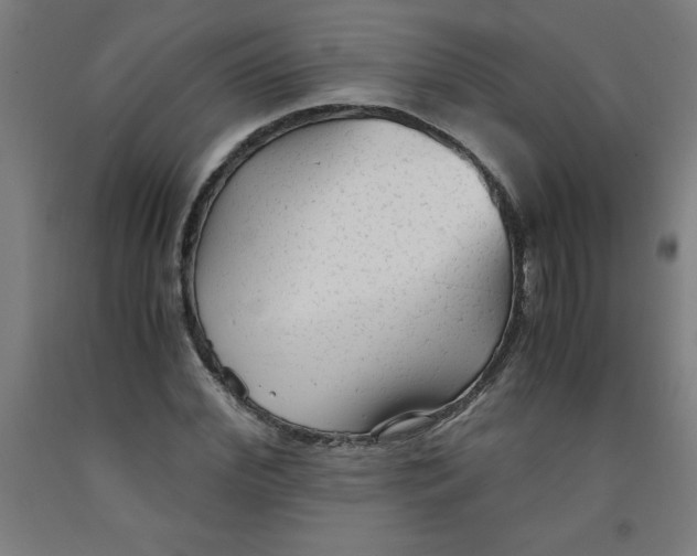 X0000091920972200709261639