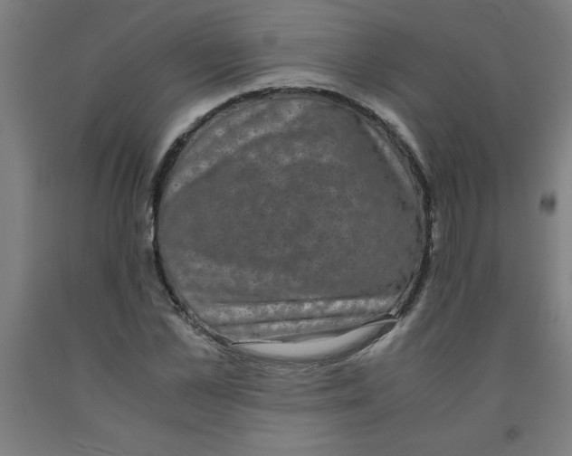 X0000091920973200709261639