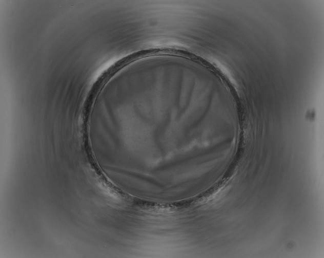 X0000091920975200709261639