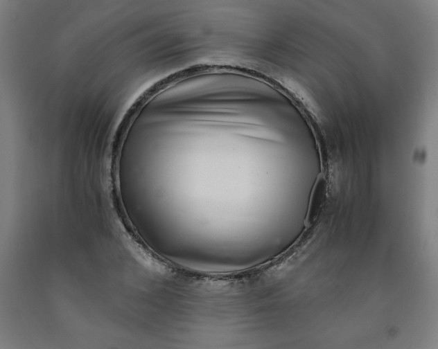 X0000091920976200709261639