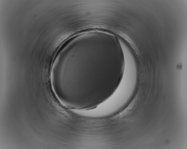 X0000091920977200709261638