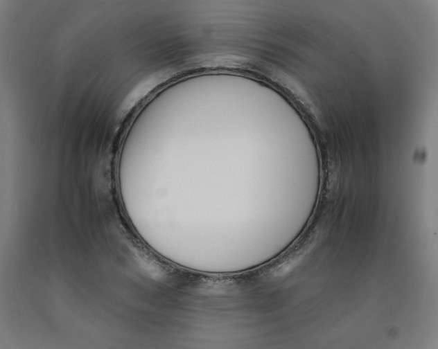 X0000091920978200709261638