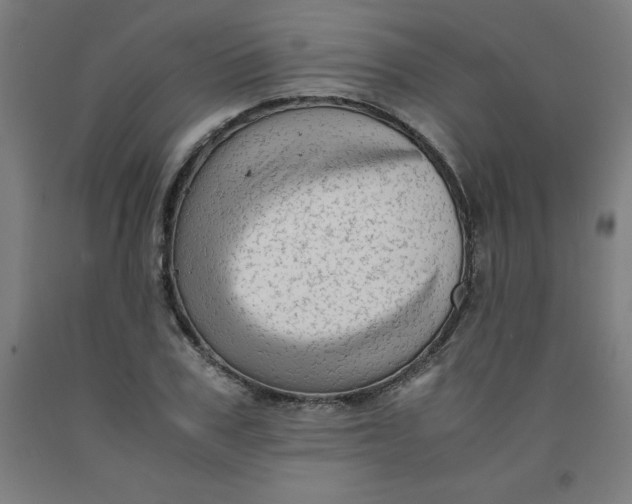 X0000091920979200709261638