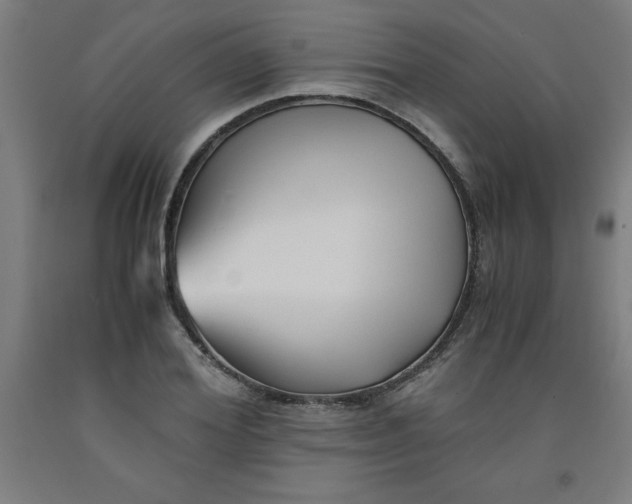 X0000091920980200709261638