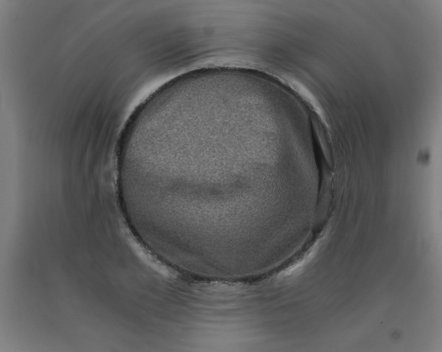 X0000091920981200709261638