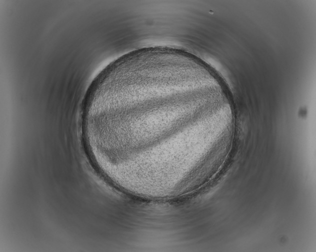 X0000091920983200709261638