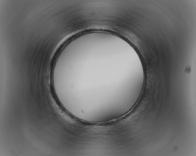 X0000091920984200709261638