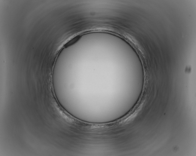 X0000091920985200709261638