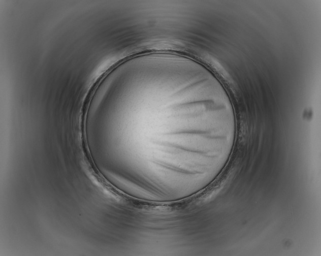 X0000091920986200709261638