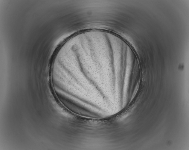 X0000091920987200709261638