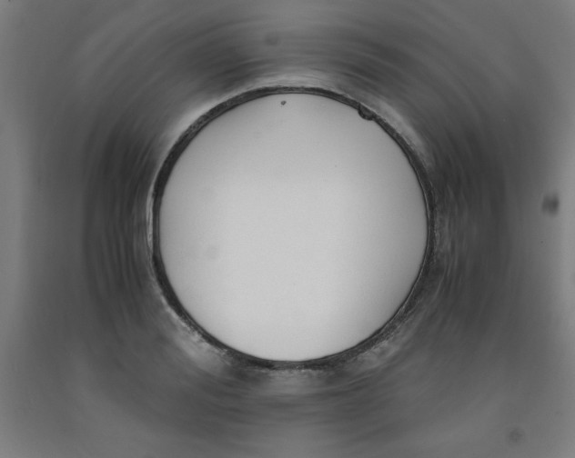 X0000091920988200709261638