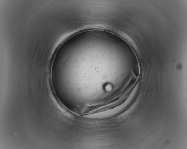 X0000091920989200709261638