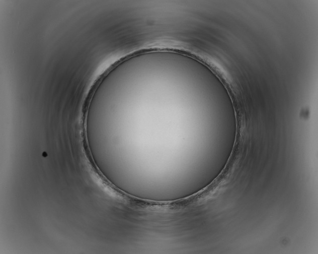 X0000091920990200709261638