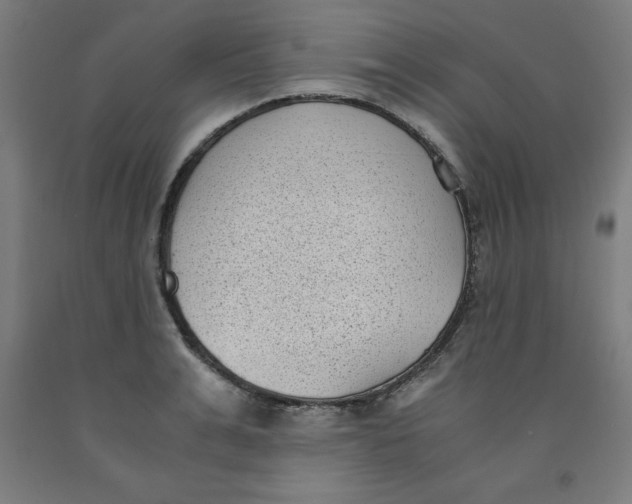 X0000091920991200709261638