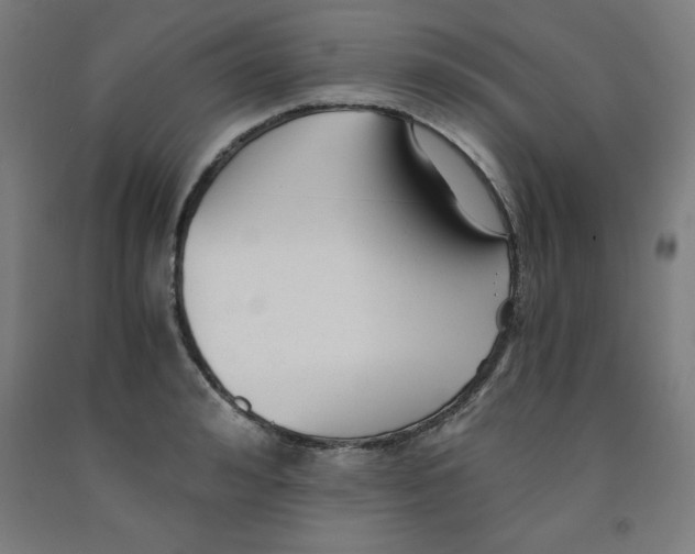 X0000091920992200709261638