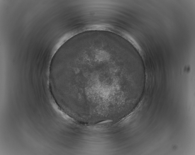 X0000091920994200709261638