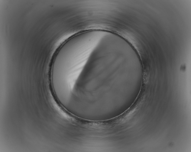 X0000091920995200709261638