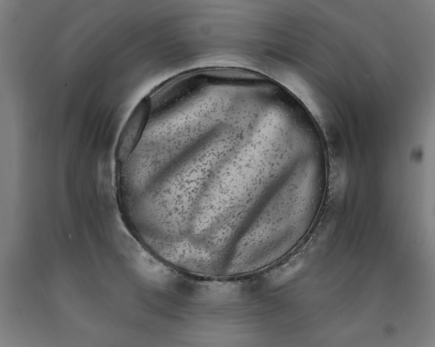 X0000091920996200709261638