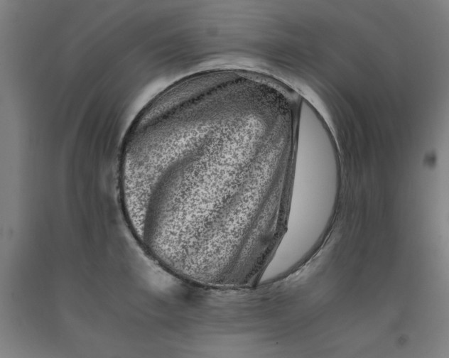 X0000091920997200709261638