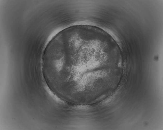 X0000091920998200709261638