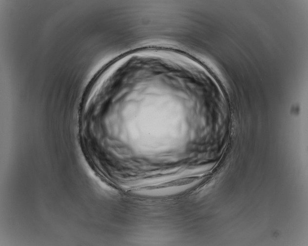 X0000091920999200709261638