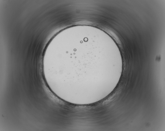 X0000091921000200709261638