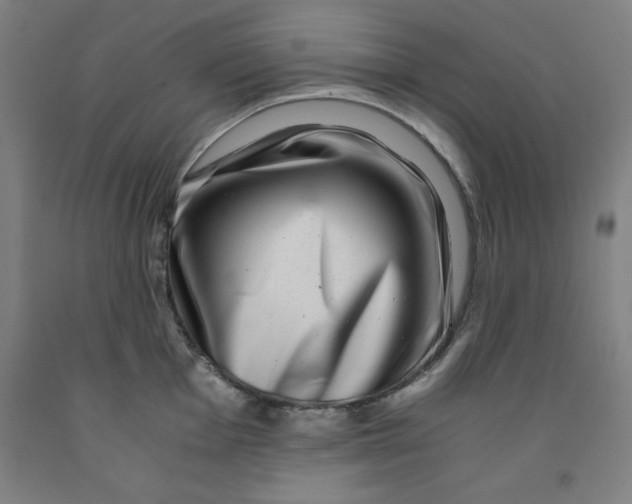 X0000091921001200709261638