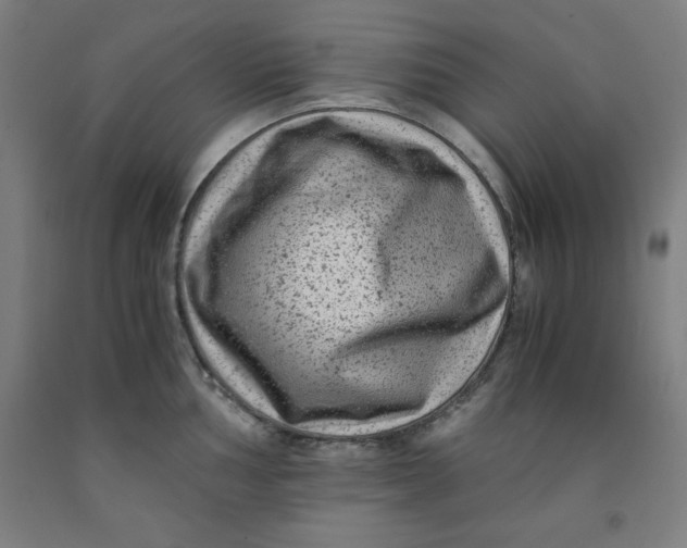 X0000091921002200709261638