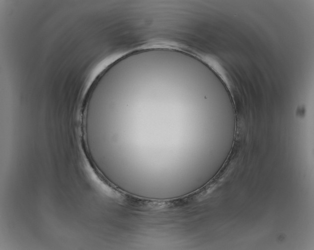 X0000091921003200709261638