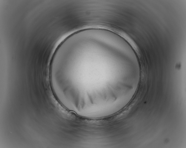 X0000091921004200709261638