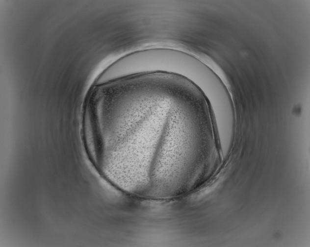 X0000091921005200709261638