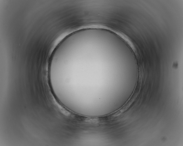 X0000091921006200709261638