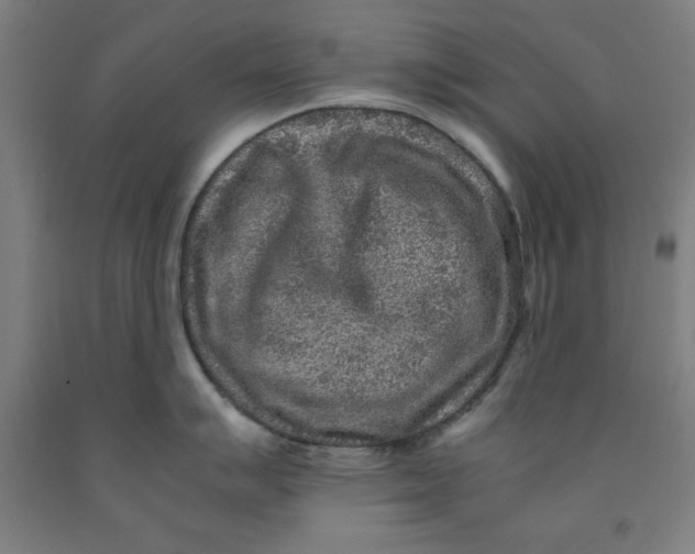 X0000091921007200709261638