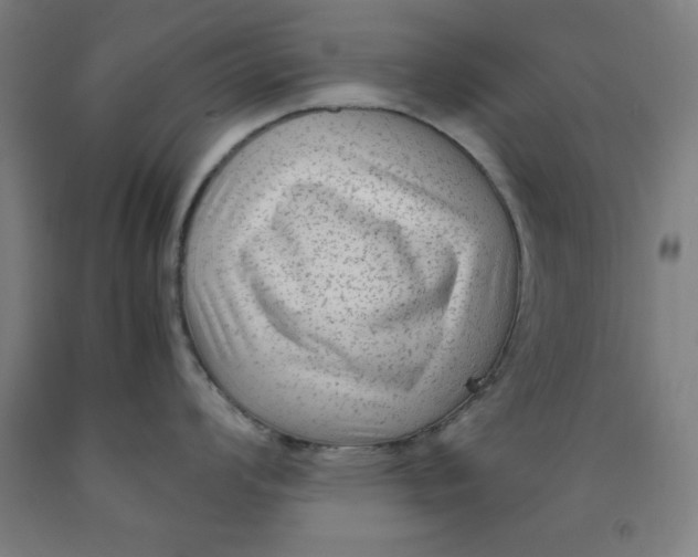 X0000091921008200709261638