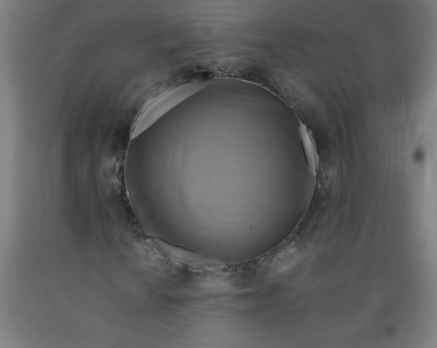 X0000091921010200709261637