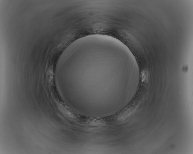 X0000091921011200709261637