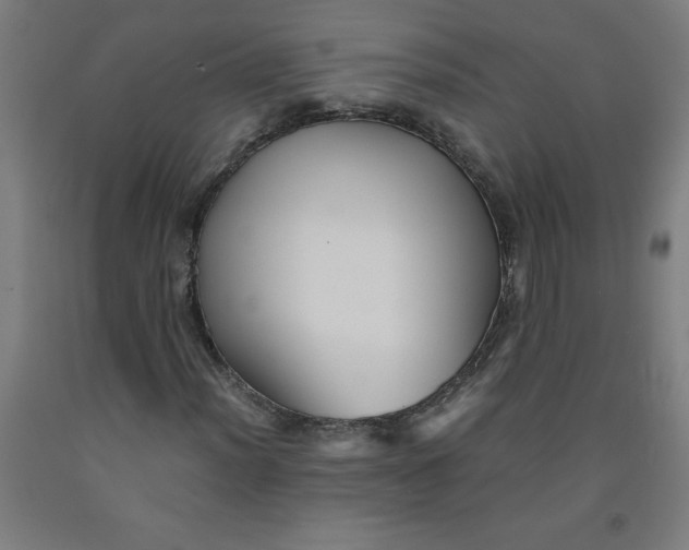 X0000091921012200709261637