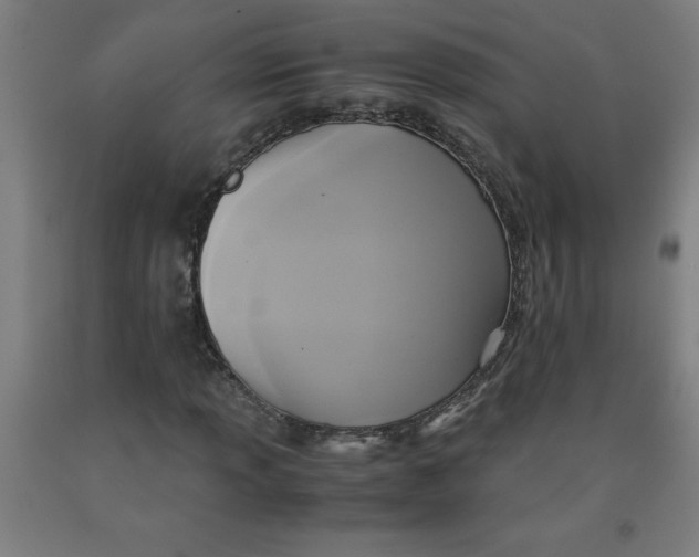 X0000091921013200709261637