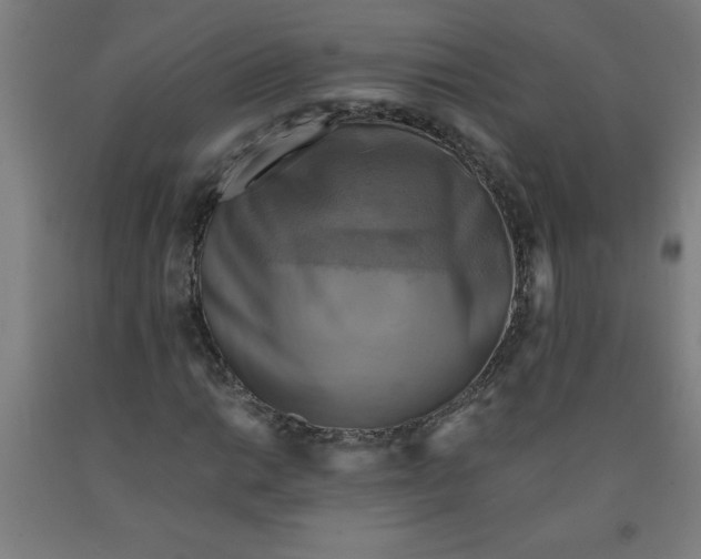 X0000091921014200709261637